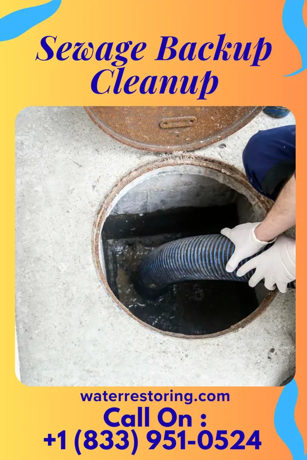 Sewage Backup Cleanup in Elizabethtown, IN